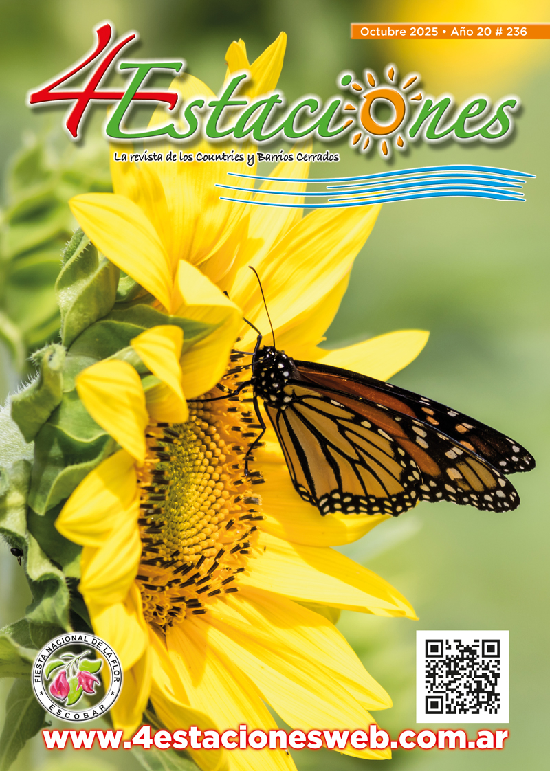 Revista236