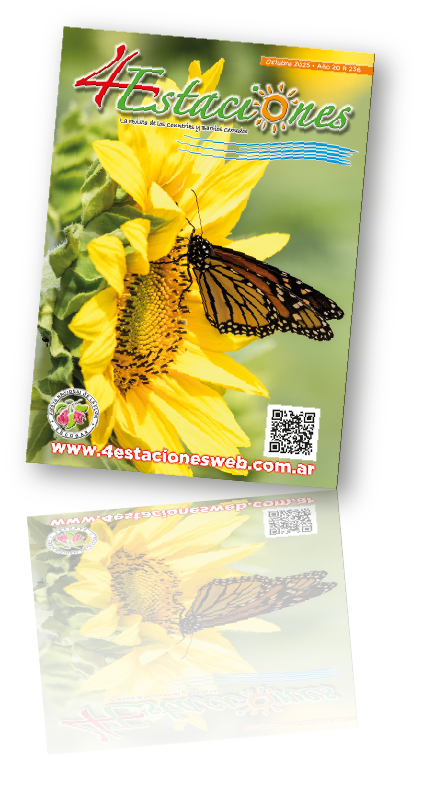Revista236