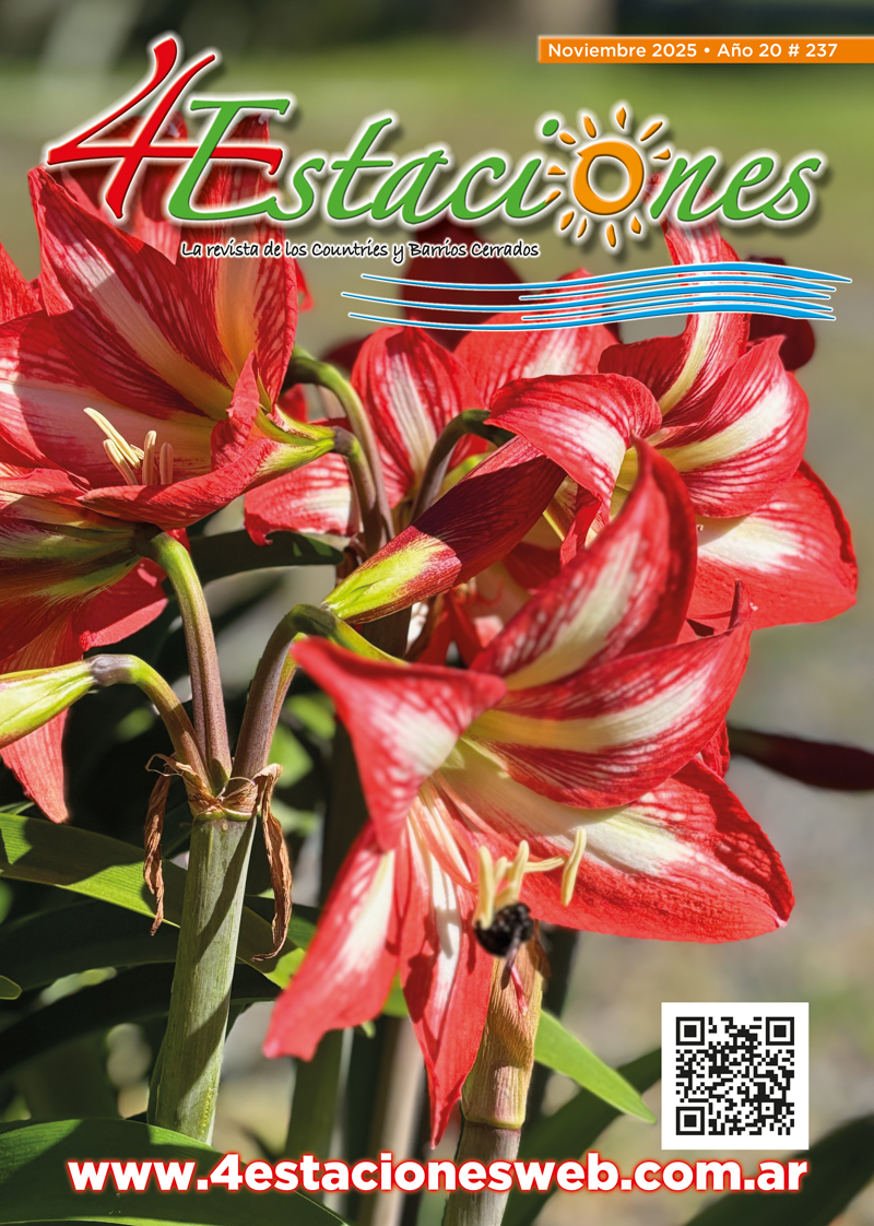 Revista237