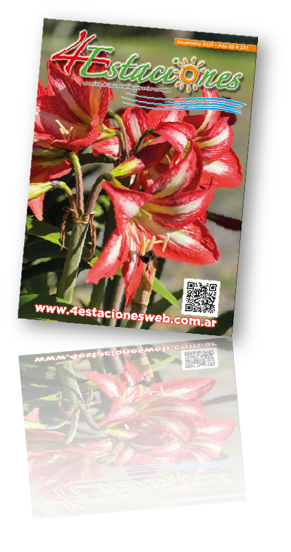 Revista237