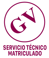 GV SERVICIO TÉCNICO MATRICULADO