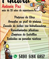 Antonio Paz PINTURA