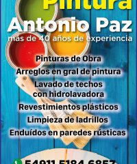 Antonio Paz PINTURA