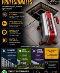 DESTAPACIONES PROFESIONALES
