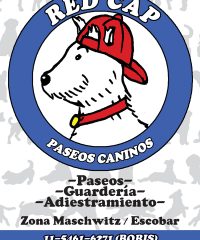 RED CAP – PASEOS CANINOS