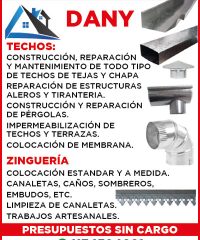 TECHOS Y ZINGUERÍA DANY