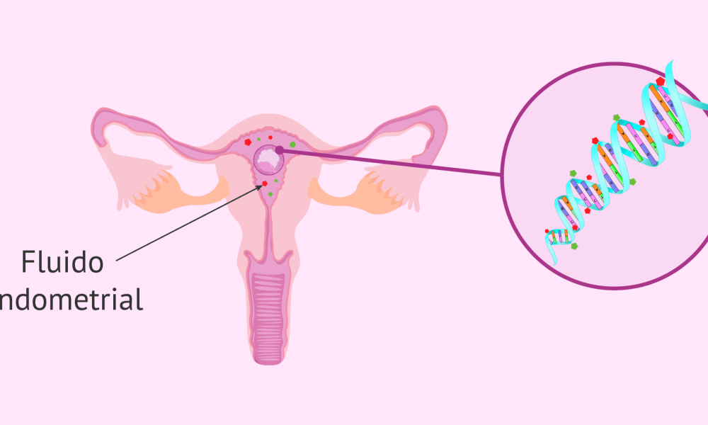 Cuando disminuye la fertilidad en la mujer