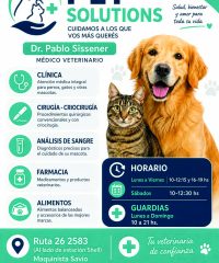 PET SOLUTIONS VETERINARIA